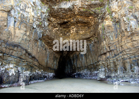 Ingresso Grotta Cattedrale Waipati Catlins spiaggia di Isola del Sud della Nuova Zelanda Foto Stock