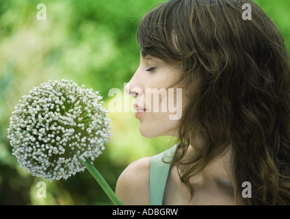 Donna e allium fiore Foto Stock