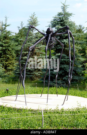 Spider da Louise Bourgeois a Frederik Meijer Gardens e il Parco della scultura in Grand Rapids Michigan MI Foto Stock