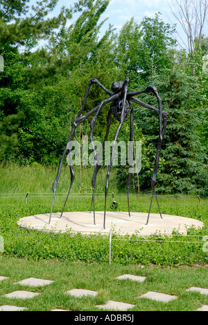 Spider da Louise Bourgeois a Frederik Meijer Gardens e il Parco della scultura in Grand Rapids Michigan MI Foto Stock