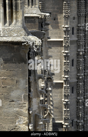 Gargoyle, Cattedrale di Siviglia Foto Stock