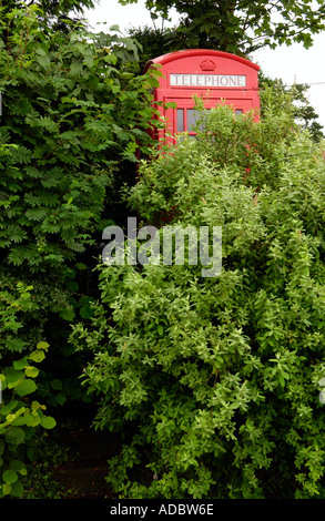 Incolto e poco usato il rosso BT casella Telefono a Cefngorwydd vicino a Llanwrtyd Wells Powys Wales UK Foto Stock