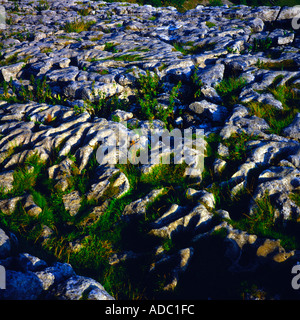 Pavimentazione di pietra calcarea sopra Malham Cove Yorkshire Dales National Park nello Yorkshire Inghilterra Foto Stock