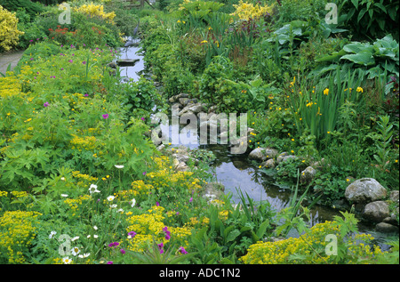 Acqua di ruscello margine piantare Euphorbia Iris Il Giardino delle Farfalle Pensthorpe Foto Stock