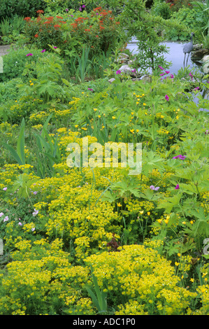 L'acqua da giardino, Euphorbia, geranio, stream, margine di acqua di piantare, il giardino delle farfalle, Pensthorpe Foto Stock