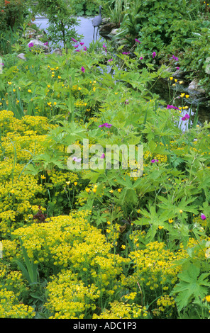 L'acqua da giardino, Euphorbia, geranio, stream, il giardino delle farfalle, Pensthorpe, Norfolk, margine di acqua piantagione, giallo, verde Foto Stock