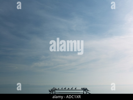 Gabbiani appollaiato sulla ringhiera del molo che si affaccia sul lago Foto Stock