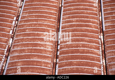 Pointe A Pitre rusty di ferro ondulato lungo la copertura dockside street come un modello di immagine di ripetizione Foto Stock