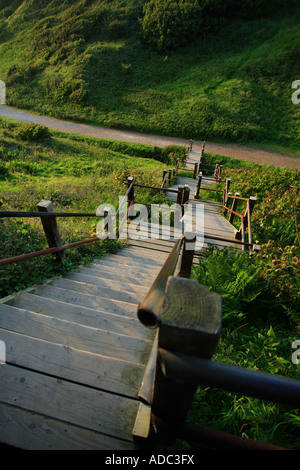 Rampe di scale che conducono alla spiaggia di allume bay sull'isola di Wight Foto Stock