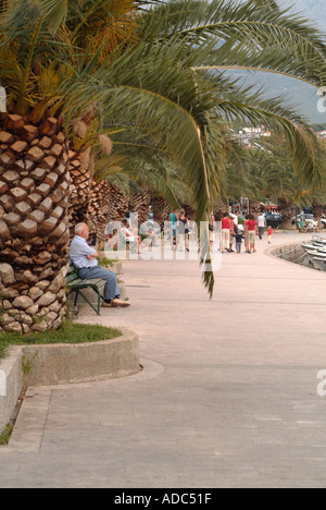 Il vecchio uomo seduto sotto una palma Baska Voda Croazia Foto Stock