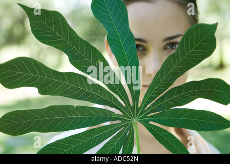 Donna che guarda attraverso foglie di manioca branch, close-up Foto Stock