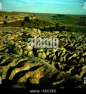 Pavimentazione di pietra calcarea sopra Malham Cove Yorkshire Dales National Park in Inghilterra Foto Stock