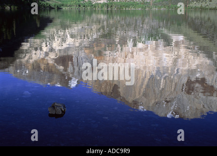 La riflessione di alloro in Montagna Lago trusty, Inyo National Forest, California, Stati Uniti d'America Foto Stock