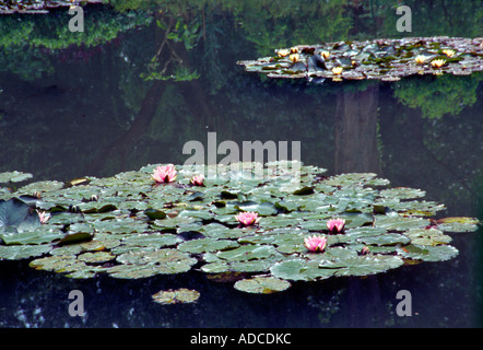 Di Monet giardino a Giverny nel nord della Francia Foto Stock