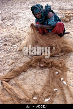 Un villaggio donna rimuove il piccolo pesce da un netto sulle rive del fiume Niger in Mali Foto Stock