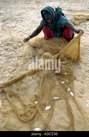 Una donna rimuove il piccolo pesce da un netto sulle rive del fiume Niger in Mopti Mali Foto Stock