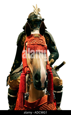 Cavaliere medievale trooper cavalryman azione horseman rider equestre cavalleresca cavalleresco errantly lancia pike lancer lancia l'uomo Foto Stock