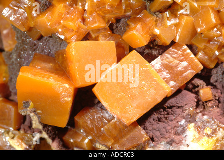 Wulfenite minerali, Toffee cristalli colorati con 3D aspetto cubi su bianco a matrice di quarzo, Los Lamentos, Chihuahua, Messico Foto Stock