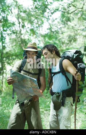 Due escursionisti in piedi nella foresta, studiare mappa Foto Stock