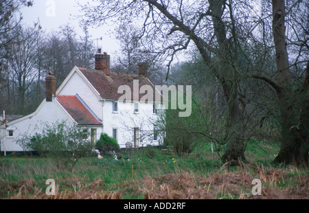 Remote bianche cottage di campagna nei boschi Suffolk in Inghilterra Foto Stock