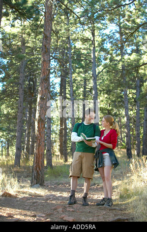 Coppia caucasica consultare la guida durante le escursioni attraverso la pineta sul sentiero natura Foto Stock