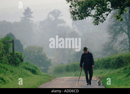 Il vecchio uomo che cammina cane sulla foschia mattutina nella campagna inglese Wiltshire, Inghilterra Regno Unito Foto Stock