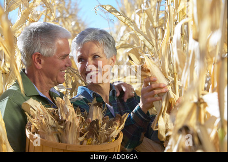 Senior coppia caucasica sorriso durante la raccolta di mais dorato nel campo di grano durante l'autunno Foto Stock
