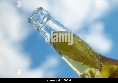 Bottiglia di birra con calce e cielo blu in background Foto Stock