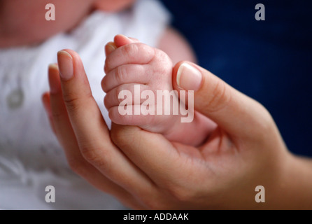 Modello rilasciato dieci settimane vecchio Baby girl Foto Stock