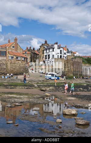 Robin cappe baia vista dalla riva Yorkshire Regno Unito Foto Stock