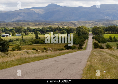 Strada vuota circondata da verdi campi Foto Stock