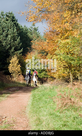 L uomo e la donna fuori equitazione autunno Cannock Chase Foto Stock