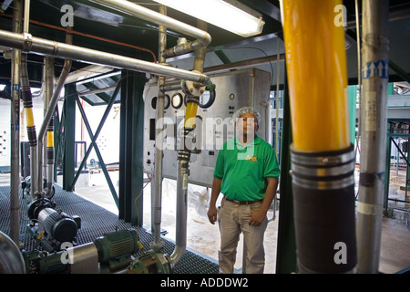 Trasformazione di agrumi fabbrica in Belize Foto Stock