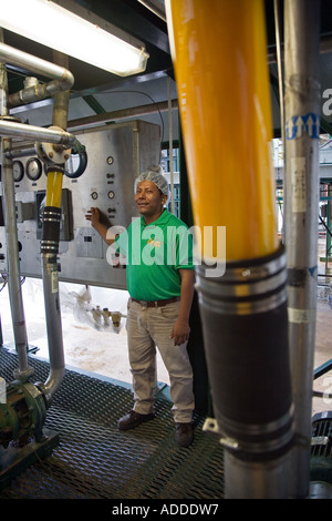 Trasformazione di agrumi fabbrica in Belize Foto Stock