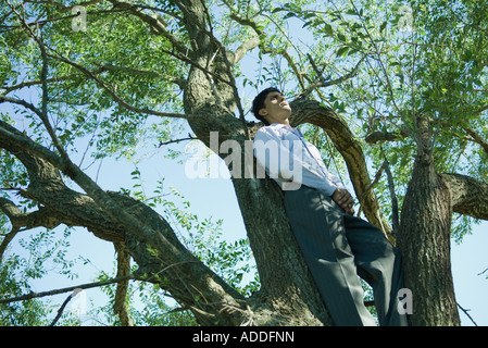 Imprenditore nella struttura ad albero a basso angolo di visione Foto Stock