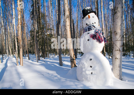 Pupazzo di neve in top hat sciarpa profondo nel bosco di betulle, interior Alaska inverno Foto Stock