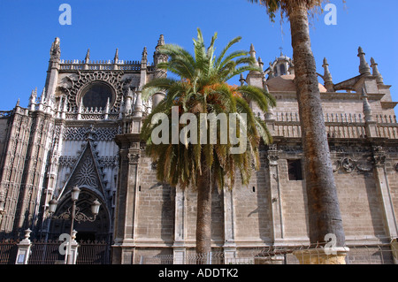 Vista della cattedrale gotica catedral Sevilla Siviglia Andalusia Andalucía España Spagna Iberia Europa Foto Stock