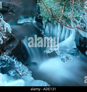 Il ghiaccio è crescente sulle rive di una foresta creek. Foto Stock