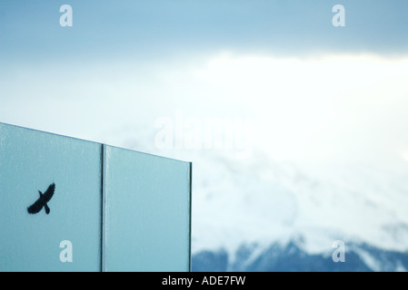 Ombra di uccello sul muro, montagne coperte di neve in background Foto Stock