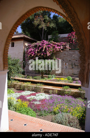 Vista di Alhambra Palace & Alcazaba fortezza Granada Andalusia Andalucía España Spagna Iberia Europa Foto Stock