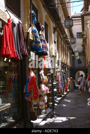 Vista caratteristica di Granada Andalusia Andalucía España Spagna Iberia Europa Foto Stock