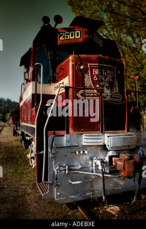 Roaring Camp Ferrovie, Santa Cruz Foto Stock