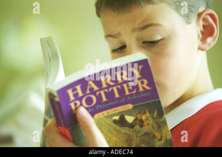 Harry Potter saga. Libri scritti in italiano. Milano, 7 febbraio 2019 Foto  stock - Alamy