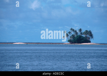 Isola e palme Majuro Isole Marshall del Pacifico del Nord Foto Stock