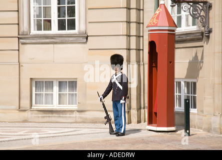 Un danese royal life guard sta al di fuori di Amalienborg Royal Palace, Copenaghen. Foto Stock