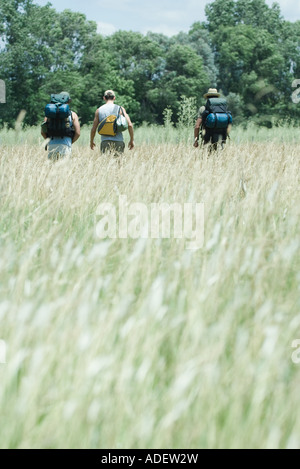 Tre gli escursionisti a piedi attraverso il campo, vista posteriore Foto Stock