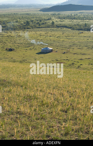 Un ger Terlj nel parco nazionale Foto Stock