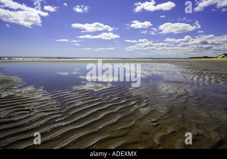 A Balmedie Beach vicino a Aberdeen, Scozia, Regno Unito Foto Stock