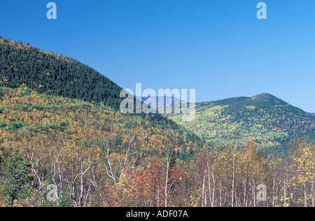 Queste montagne e coste sono le estremità di coda dei monti Appalachi che iniziano negli Stati Uniti e in fine in Canada Foto Stock