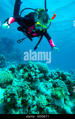Girl Età 11 anni immersioni subacquee al di sopra di una barriera corallina Dahab Sinai Mar Rosso in Egitto Francesca Mayes PADI Junior Open Water corso Foto Stock